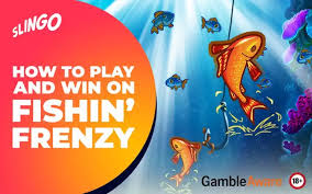 Discover the Excitement of Fishin' Frenzy Play 334571987